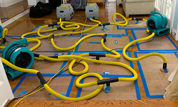Professional Crawl Space Water Removal technician working in Applegate, MI